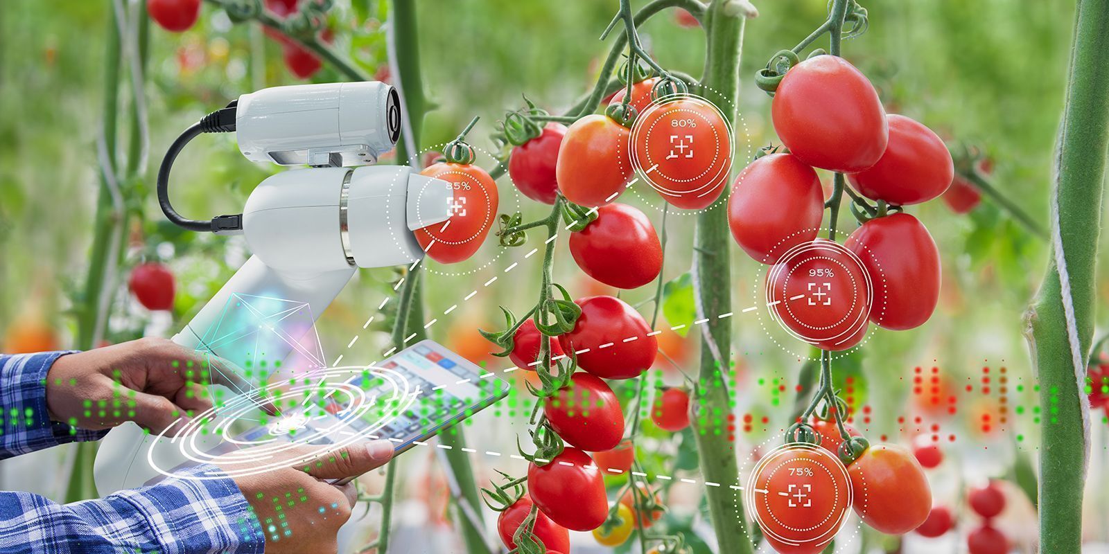 New R&D Center Investment